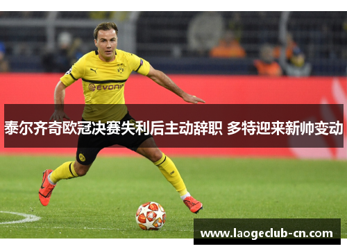 泰尔齐奇欧冠决赛失利后主动辞职 多特迎来新帅变动